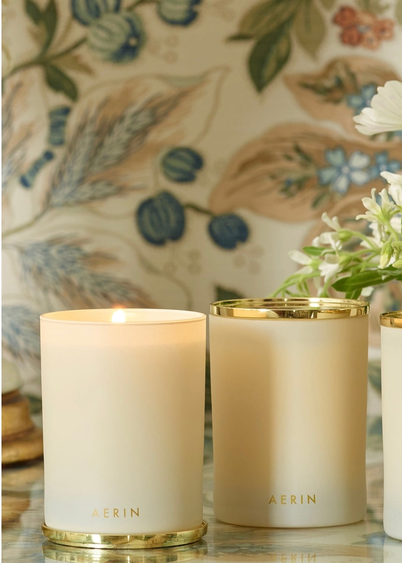 アナスイ　アロマシリーズ FG_54.png