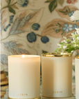 AERIN L'Ansecoy Orange Blossom Candle